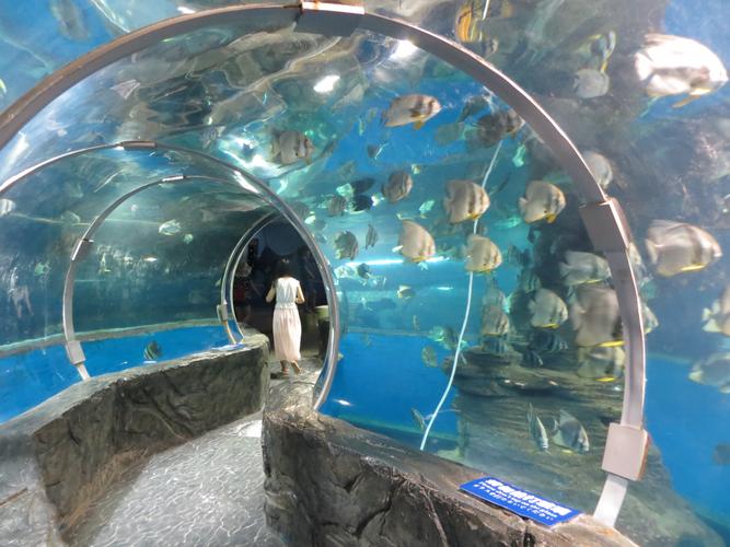 北海海洋之窗景点简介