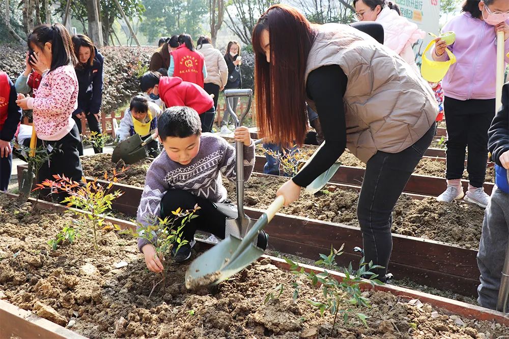 綠色公益,共同助力,