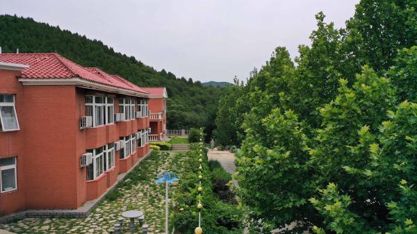 天津九龙山入选全国首批国家森林康养基地