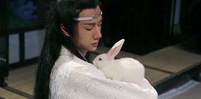 《陈情令》:剧中出现七次的兔子,到底对魏无羡蓝湛有什么含义?