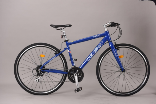 中国邢台平乡跃歌自行车品牌走向世界