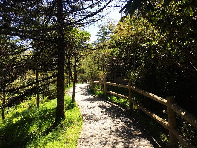 玉溪小龙潭的旅游景点是哪里?