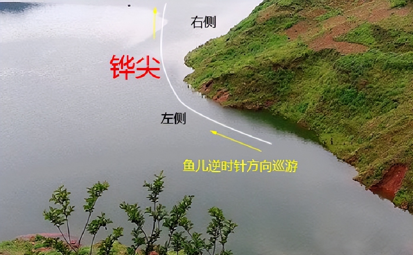 钓鱼找鱼道,不怕没鱼钓,在野钓中怎么精准找到鱼道?