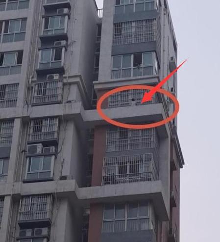 推荐生死关头！山东一男子从16楼纵身跳下救起3岁娃，自己却……