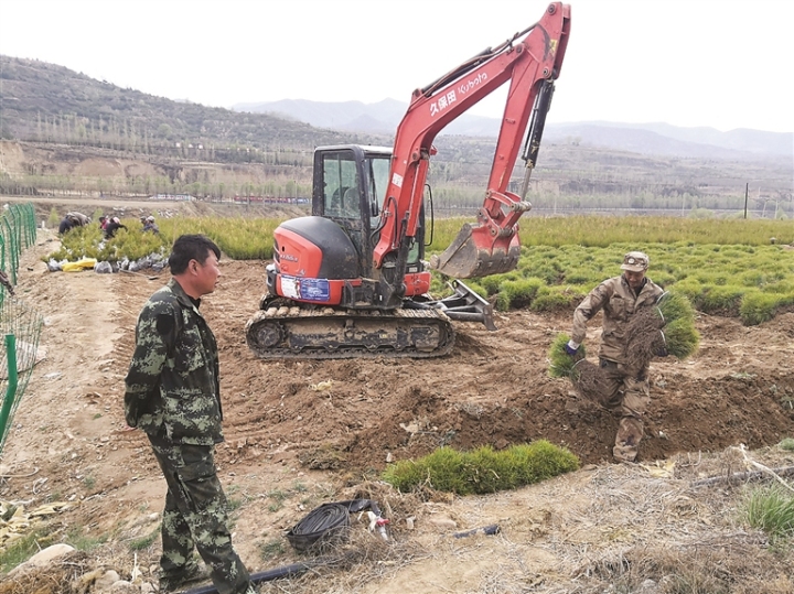 離石區吳城鎮:苗圃經濟成為百姓增收的