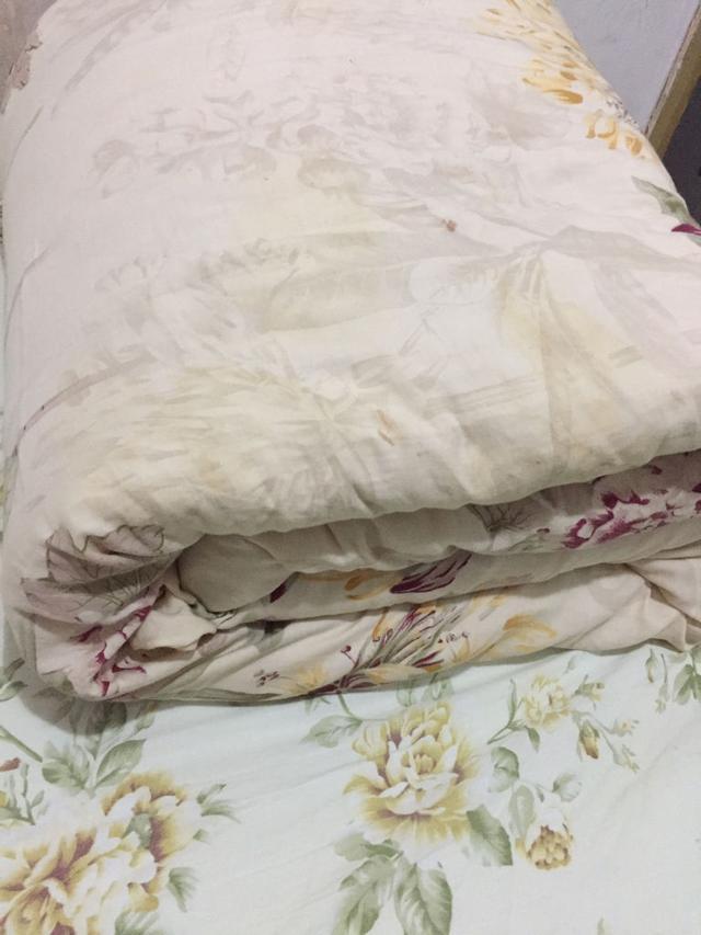 原来螨虫最怕的天敌,竟然不是暴晒?教你一招,让螨虫跑光光