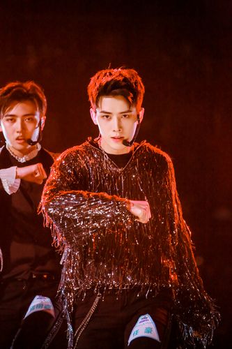 任豪粉丝名,应援色,应援口号分别是什么?他怎么火的?