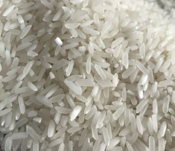 优质稻品种川优6203,米质好,产量高,让蜀中无好米成为过去时