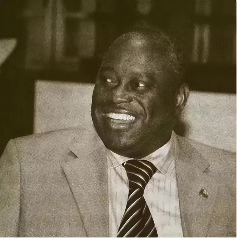 北大才女殷杰:与非洲黑人结婚定居北京,混血儿女如今是百万网红