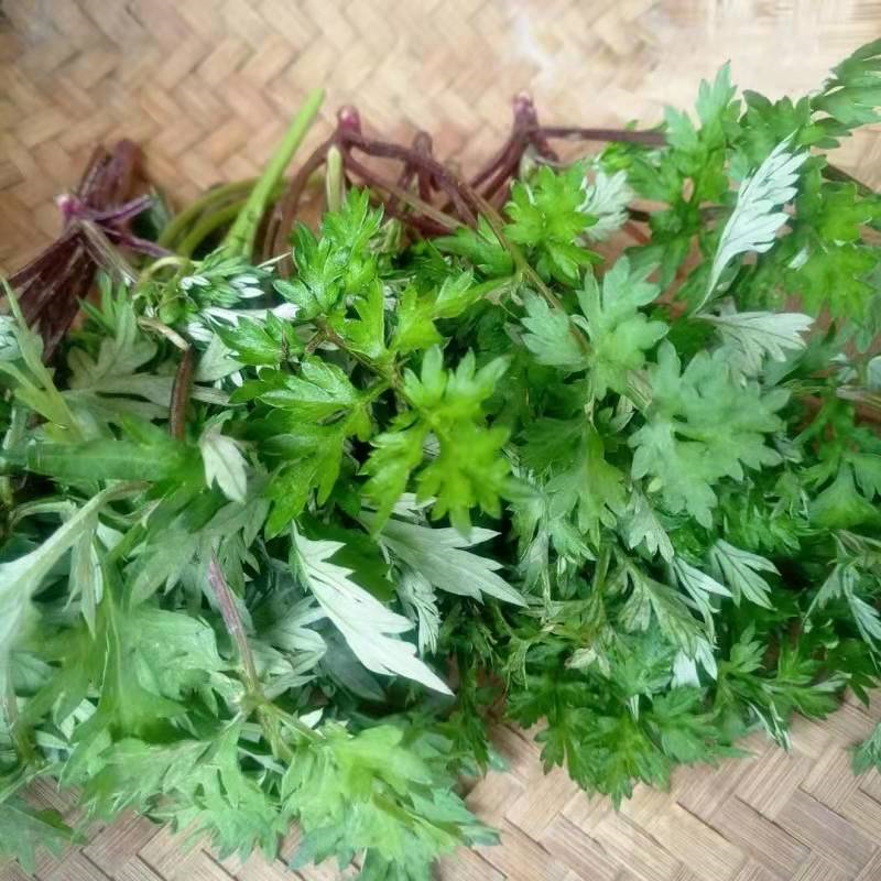 农村菜园常见的蒿草,割来喂猪牛,有人靠它赚钱,卖20元一斤