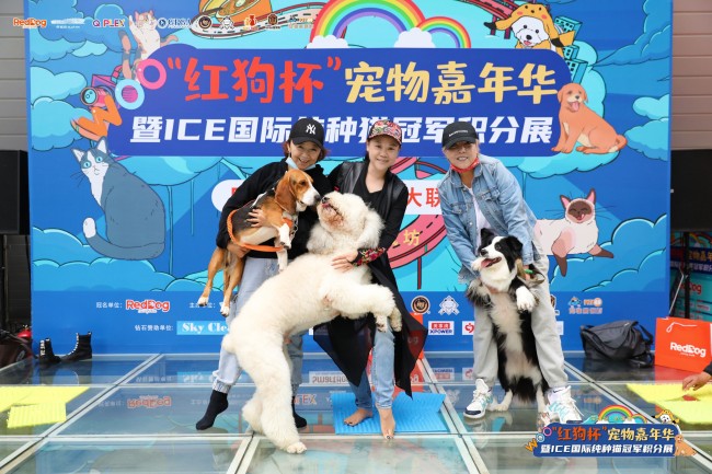 "红狗杯"宠物嘉年华上演一场高颜值猫狗的狂欢盛宴