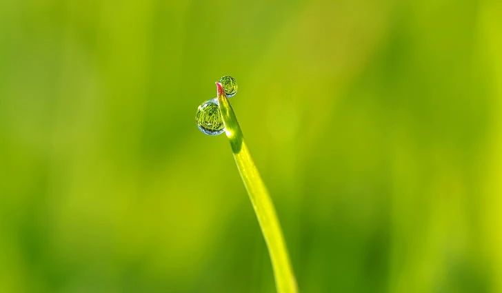 現實諷刺但人間清醒的文案:人是會變得,簡單的五個字講完了故事