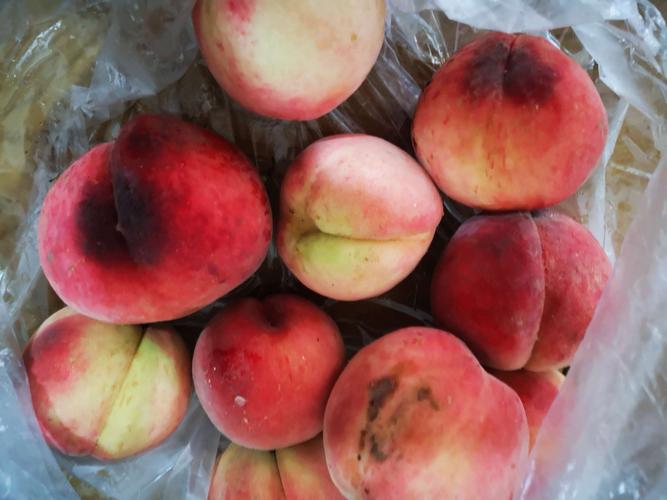 烂掉的桃子一个也不要丢,老"值钱"了,好多人不懂怎么用,学学