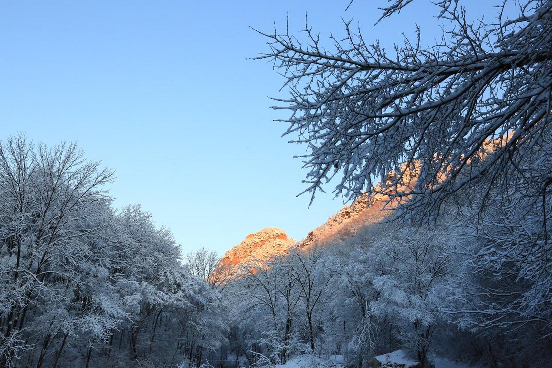 網紅打卡地遼寧槓槓滴# 【新賓滿族自治縣——猴石國家森林公園】