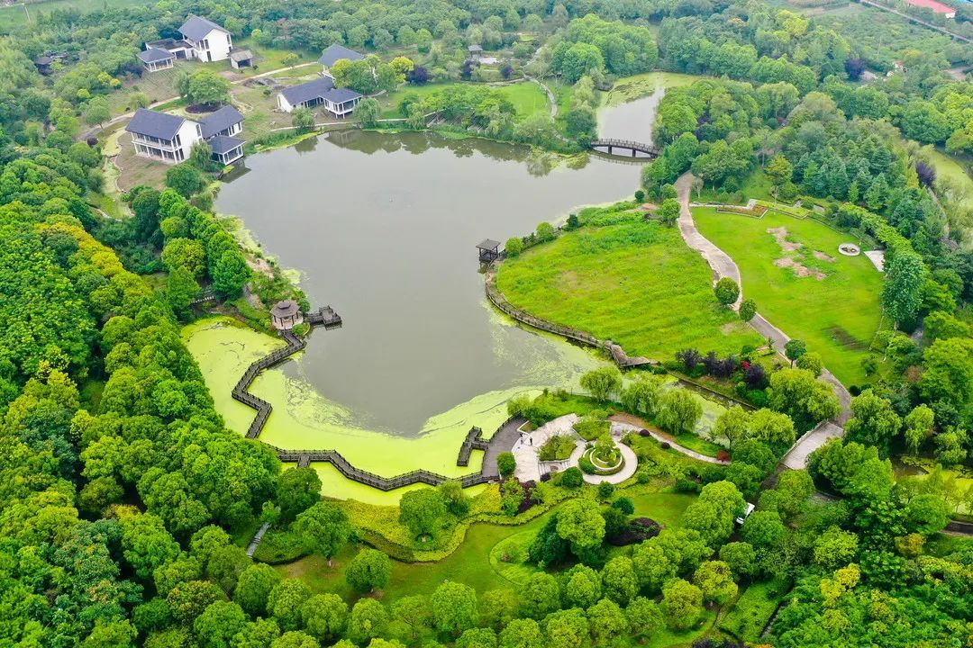 美丽乡村示范村丨奉贤五四村:"吾乡四季"的美丽进行时