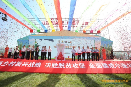 |礼赞丰收,2020年武清区中国农民丰收节盛大开启