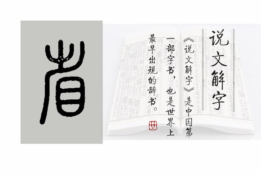 《说文解字》第672课:"吾日三省吾身"的"省"要如何理解?