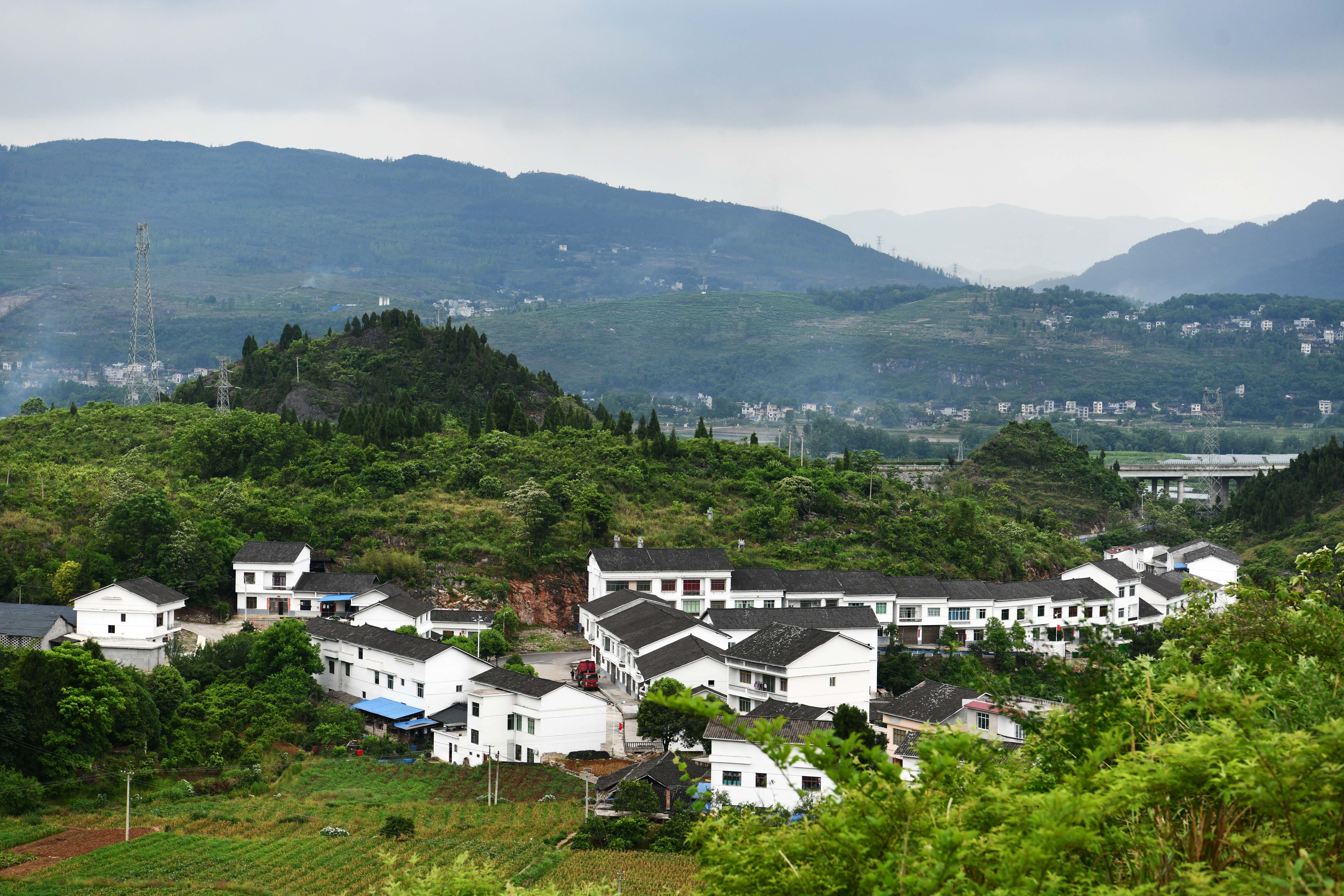 青杠坝村的幸福致富路(3)