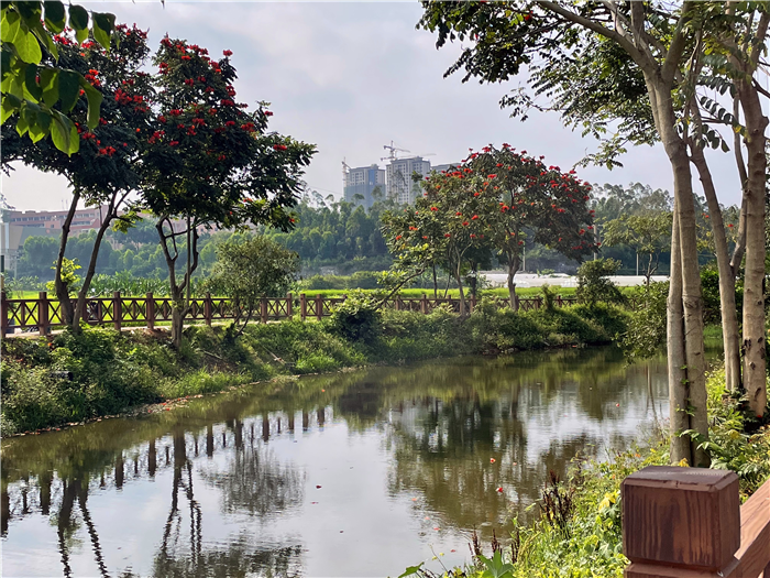 南安:梅山鼎诚村致力乡村振兴 经济及社会事业成绩瞩目