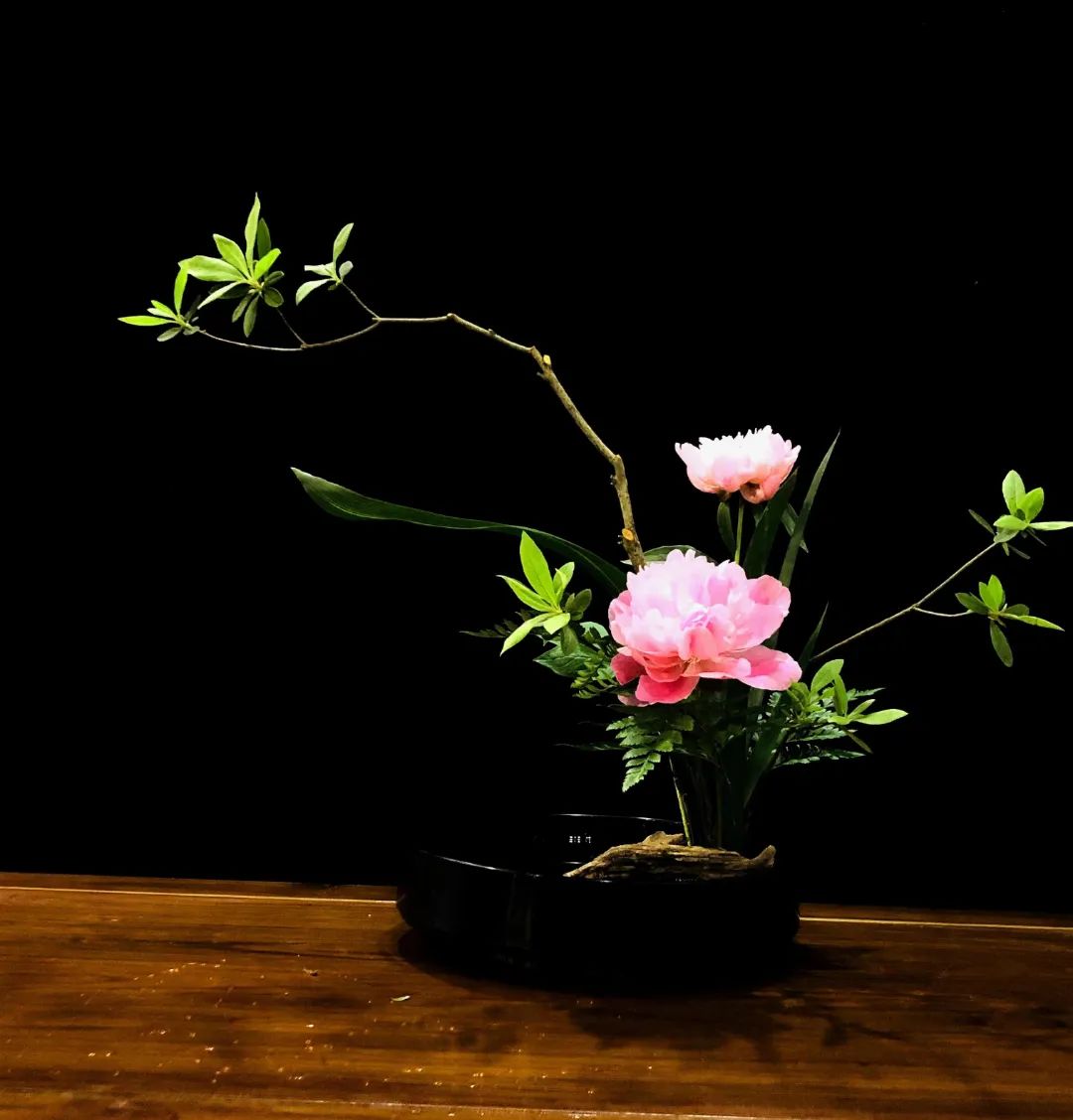 采薇专栏谷雨春天的华丽终章尽赏名师牡丹芍药插花