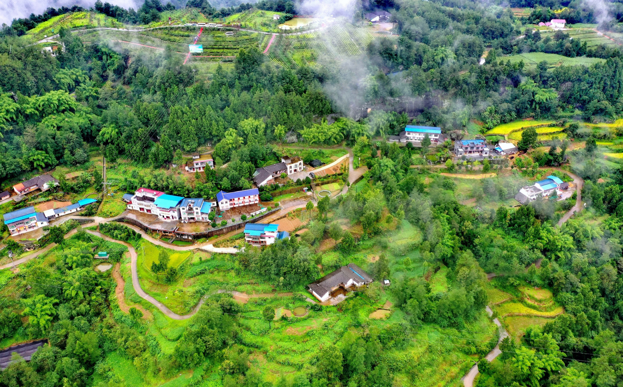 云雾缭绕,航拍中国茶乡旺苍,满眼绿色的山水风景,如人间仙境!