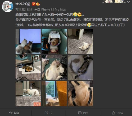 专访渗透之c君:相聚恐怖游戏的怂人