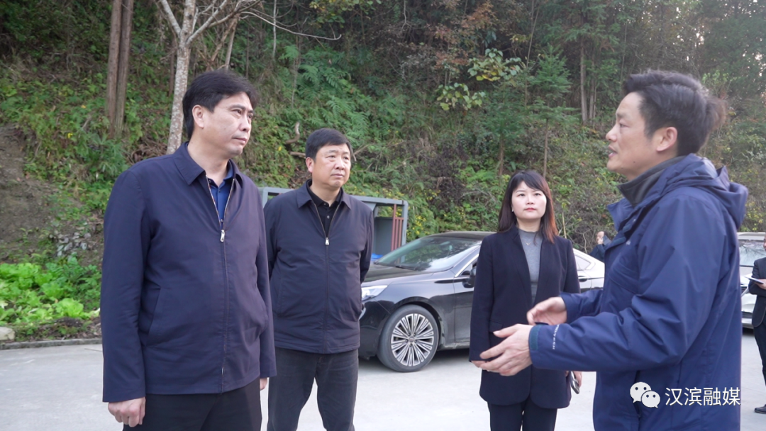 汉滨区区长吴大林调研督导巩固衔接和主题教育工作