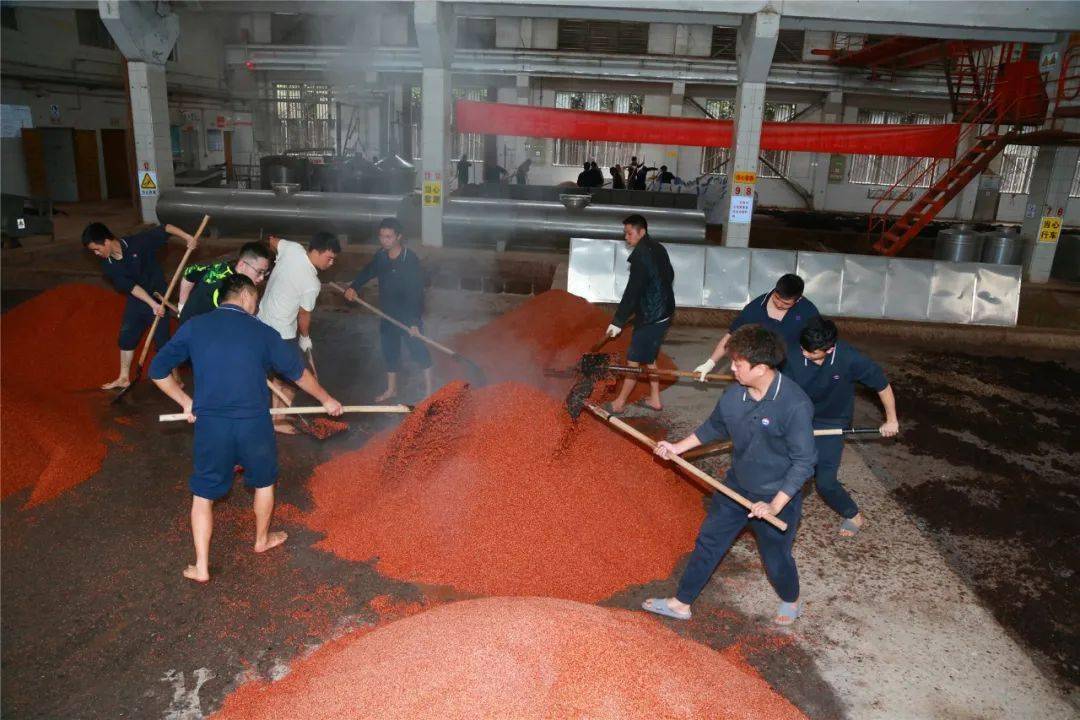 茅台生产车间现场照片,流出后引热议:难怪员工"不敢"偷喝茅台