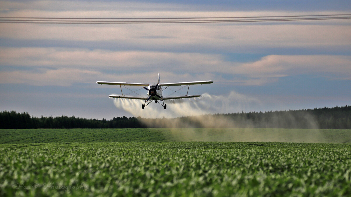 食品安全严重堪忧!从激素,农药到转基因,该如何保障健康饮食?