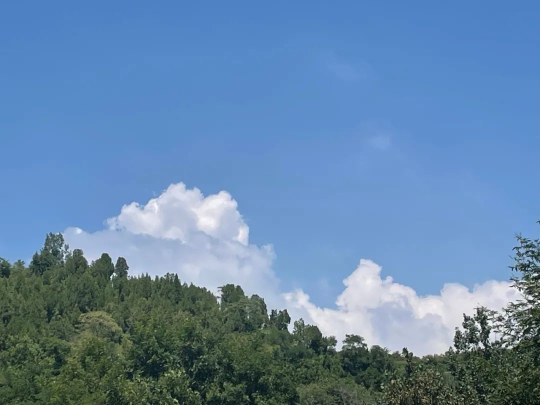 蓝天白云再刷屏,临沂这个4a景区满屏瓦片云,惊艳朋友圈!