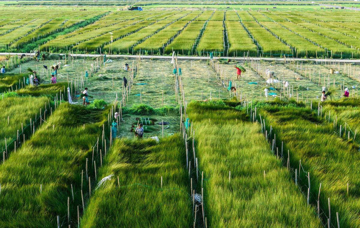 促进我国农垦企业向生态农业转化的具体措施