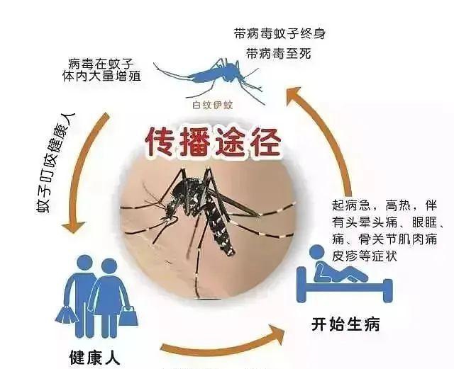 教你1招!整夜开窗睡觉也不怕