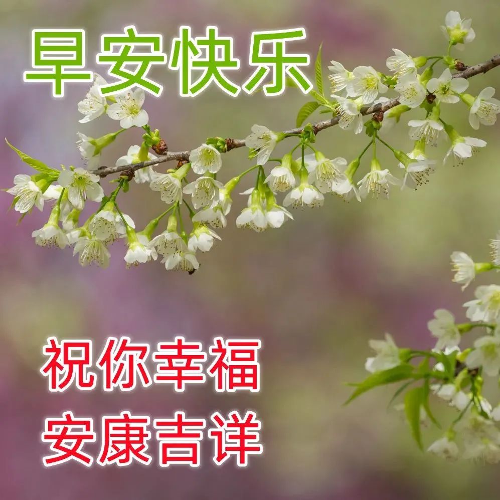 早上好祝福语大全简短 早上好表情图片带字带祝福语句子