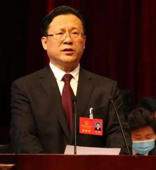 聚焦两会丨全国人大代表邹瑾: 以司法服务保障绿色发展振兴