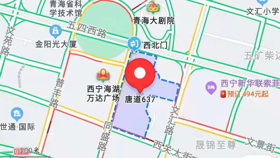 西宁唐道637地图图片