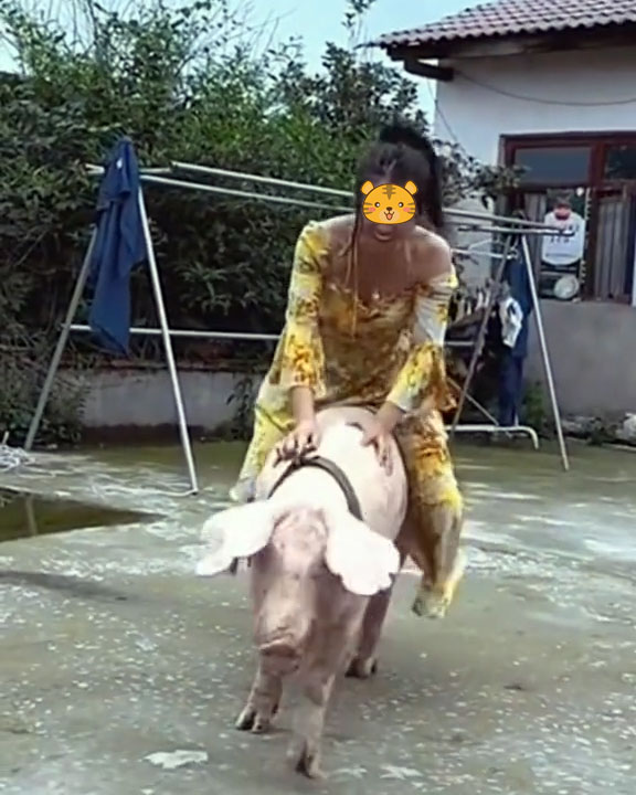 35岁女子智商如同7岁小孩,喜欢骑着猪兜风,嫁不出去让父母犯愁