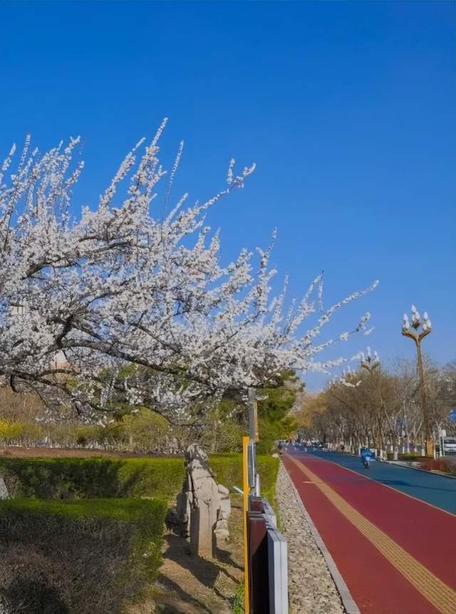 迁安风景图片