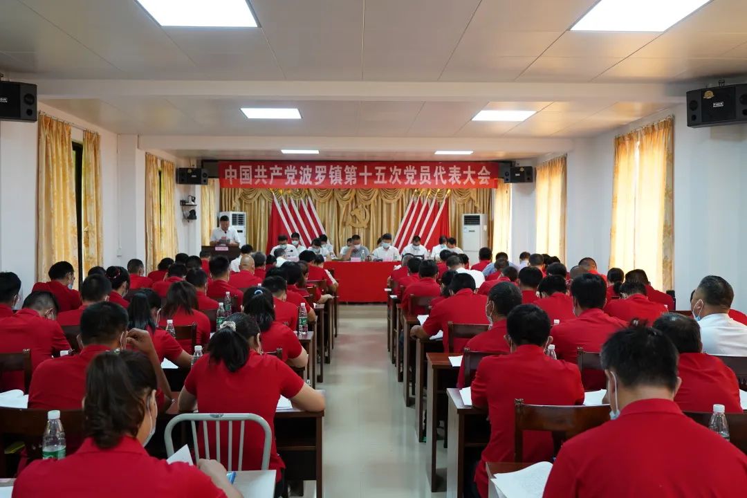 英德法院党组书记,院长陈树忠参加波罗镇第十五次党员代表大会