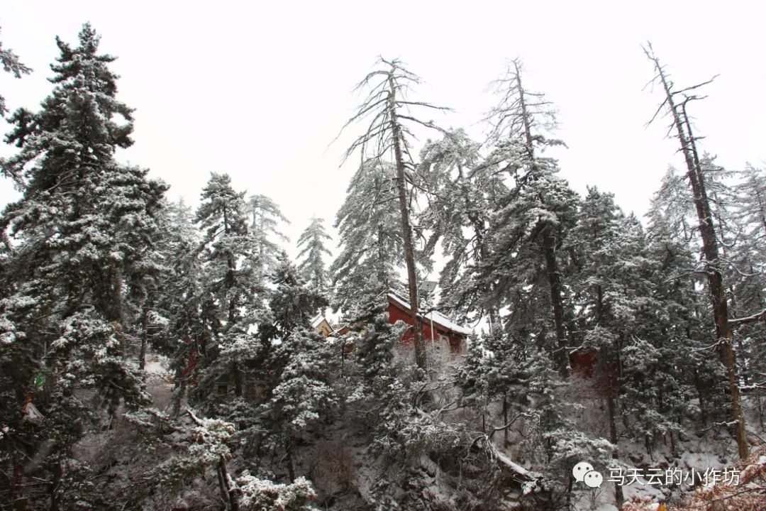 图胜千言|雪落贵清山