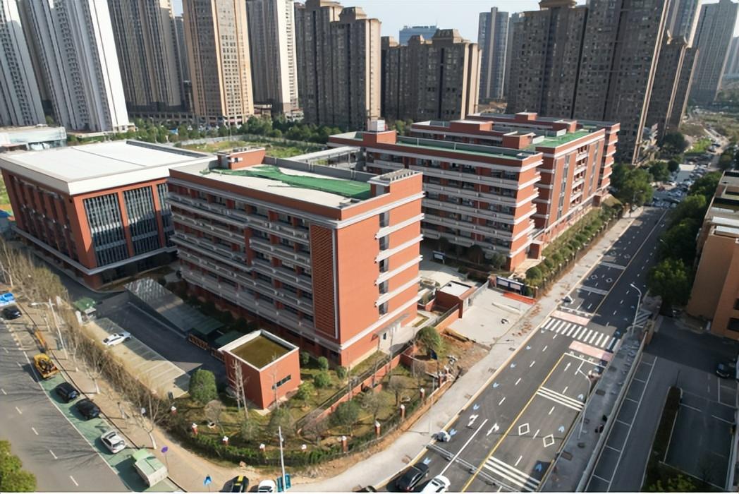 泰禹小学 中雅培粹,这样的教育谁不心动?