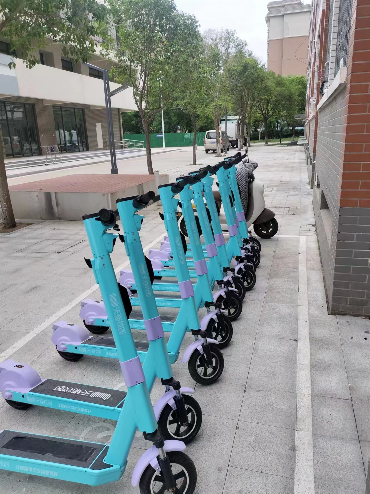 小潮出行|校园共享滑板车,你打卡了吗?