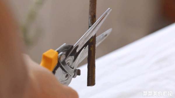 注意:接触水的部位,有多余的叶子,花瓣,一定要剪掉,否则碰水腐烂