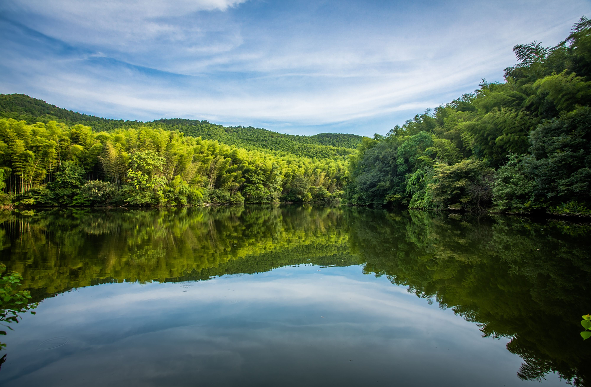 你知道"南京小九寨"吗?这里有徽派建筑,竹海曲径通幽太美了