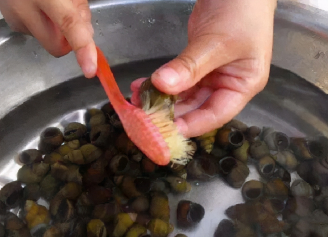 洗田螺,别只知道加盐和油,加点它进去,田螺疯狂吐沙止不住!