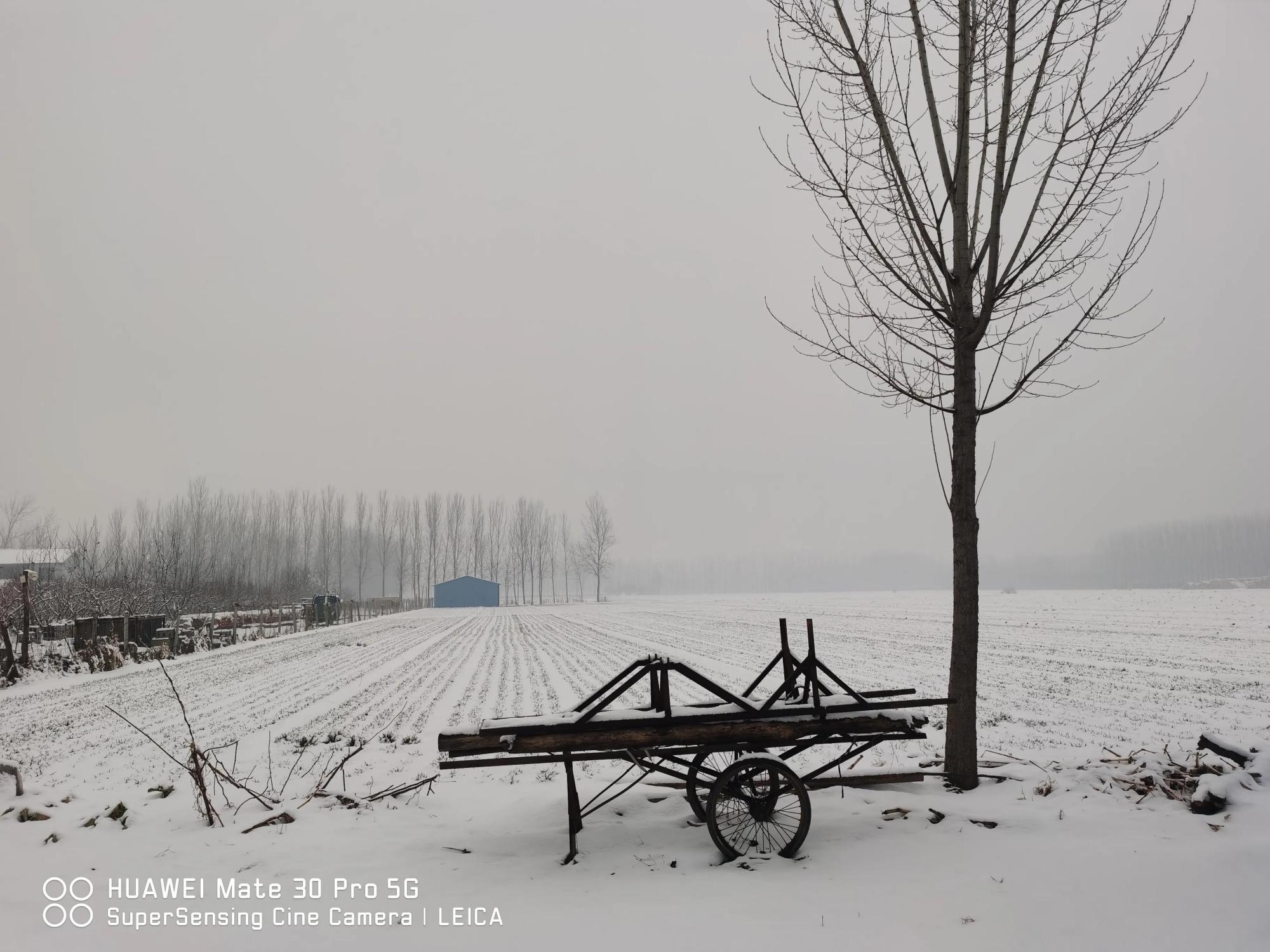 鲁西南农村突降大雪,在外打工的父老乡亲们,该回家过年了