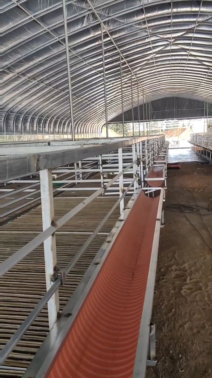 羊棚加设备一体化安装,一步到位,做好拎羊入住