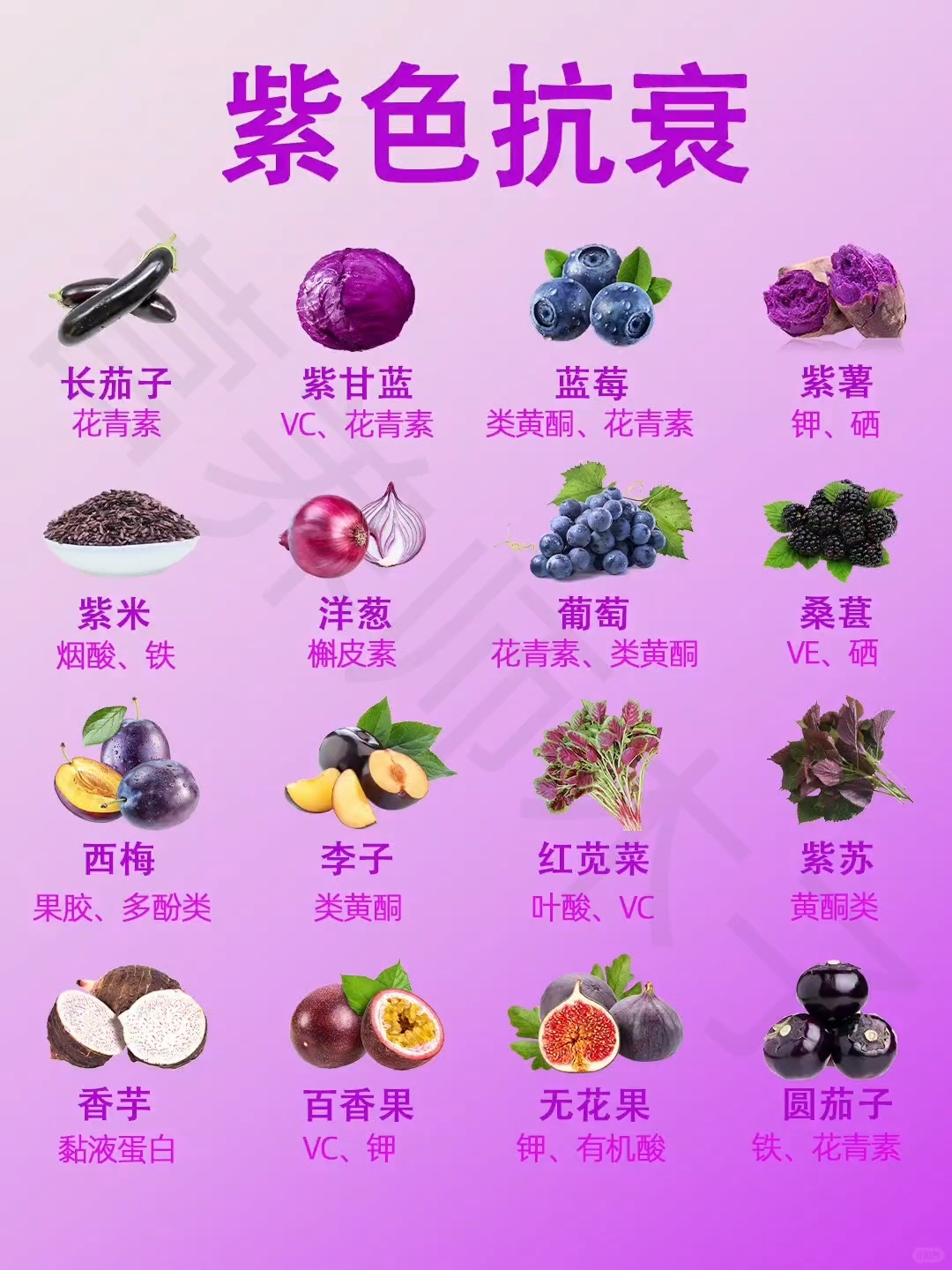 养生类食品名称大全(养生类食品名称大全图片)