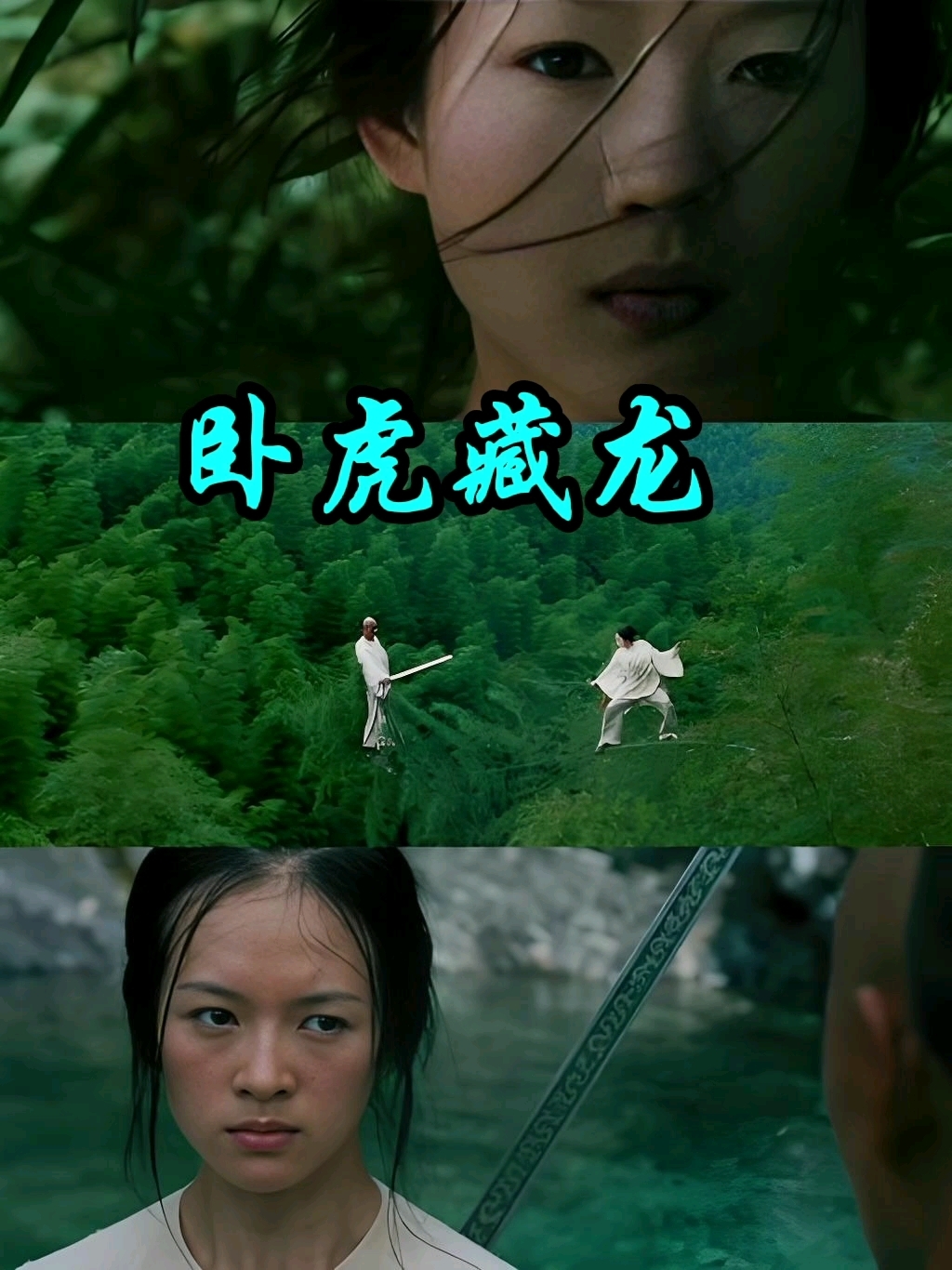 卧虎藏龙