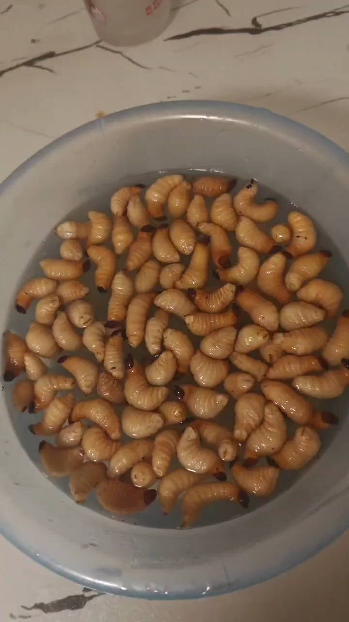 这虫子炸完之后很香