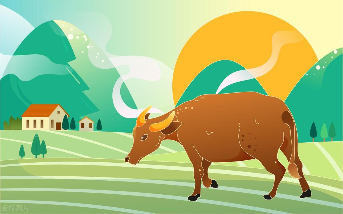 肉牛用的去油增肉的添加剂